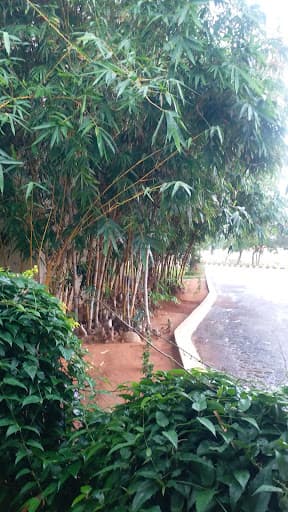 PBCET-gallery-image-5