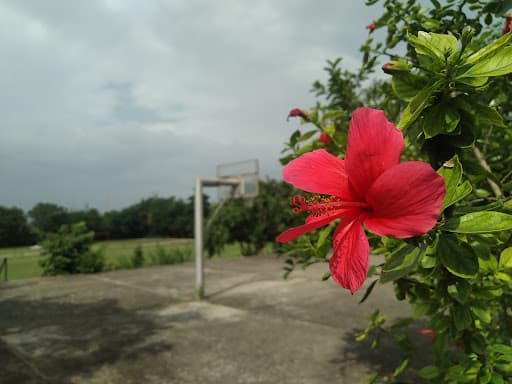 Techno India NJR Institute of Technology-gallery-image-4