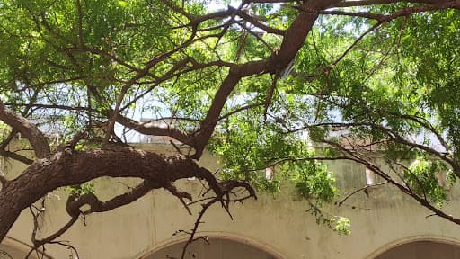 SAEC Ramanathapuram-gallery-image-5