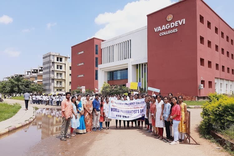 VIPS Warangal-image