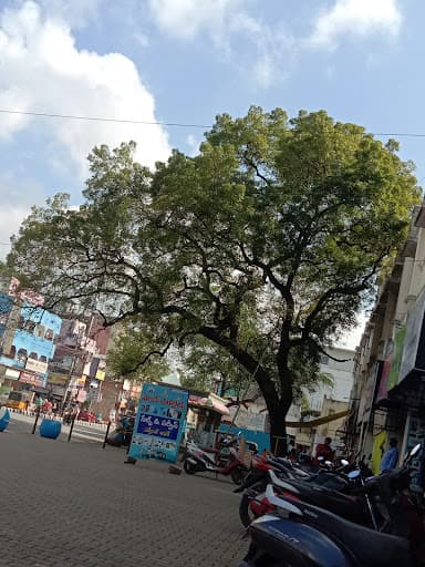 Gayatri Degree College-gallery-image-7