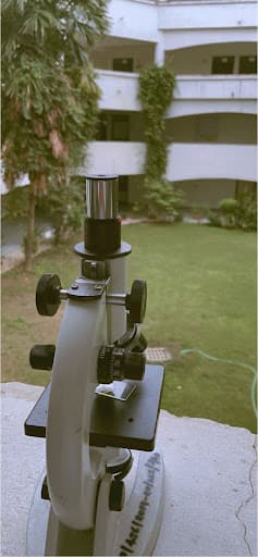 LJIP-gallery-image-7