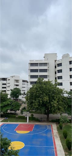 LJIP-gallery-image-5