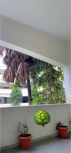 LJIP-gallery-image-6