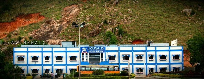Emeralds Degree College-image
