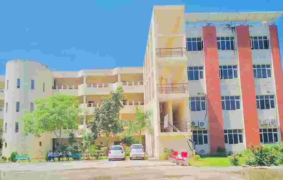 KCL-ILS-gallery-image-3