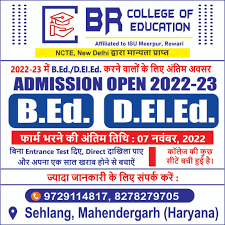 BR College of Education Mahendragarh-logo