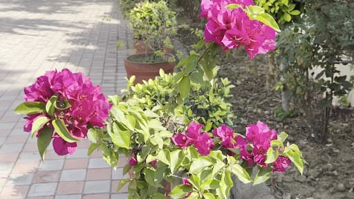 HBS Noida-gallery-image-5