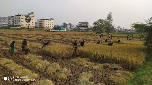 B.R. College of Education-gallery-image-4