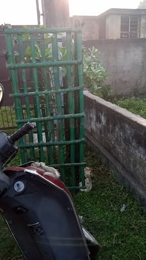 K.B. Jha College-gallery-image-5