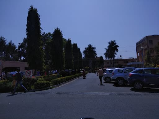 Choithram Nursing College-gallery-image-5