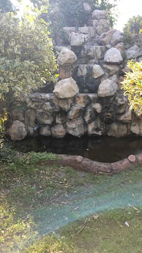 Liberal College Indore-gallery-image-6