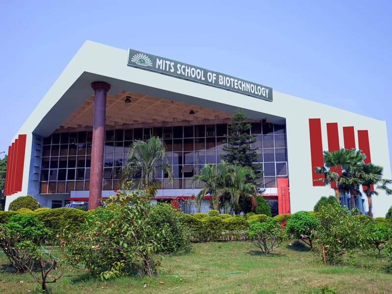 MITS-gallery-image-3