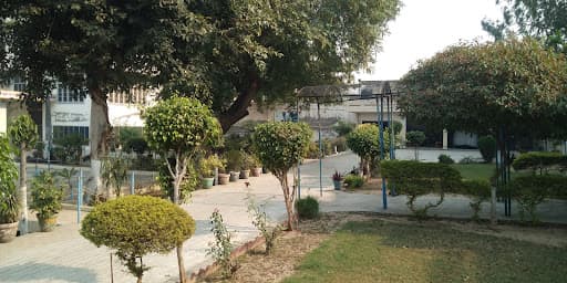 DMC Education Moga-gallery-image-5