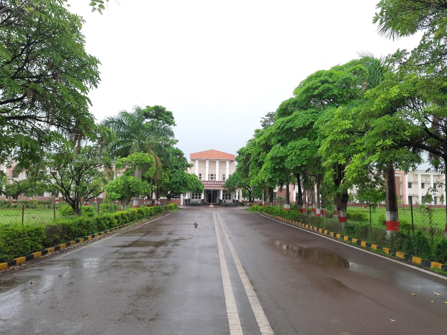 College of Veterinary Science & Animal Husbandry Anjora-image