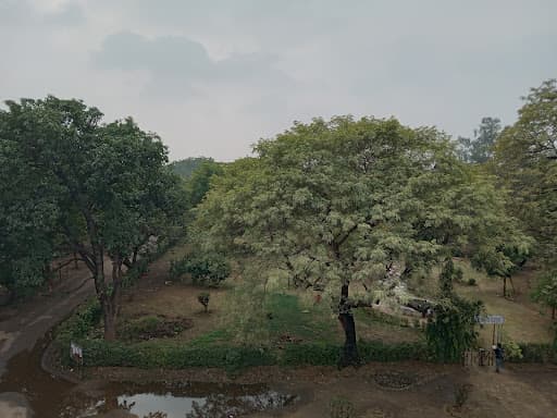 SMS College Gwalior-gallery-image-7