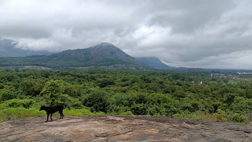 IITPKD-gallery-image-6