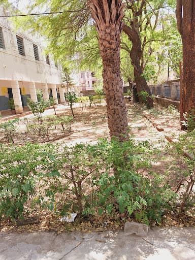 Saifia College-gallery-image-7