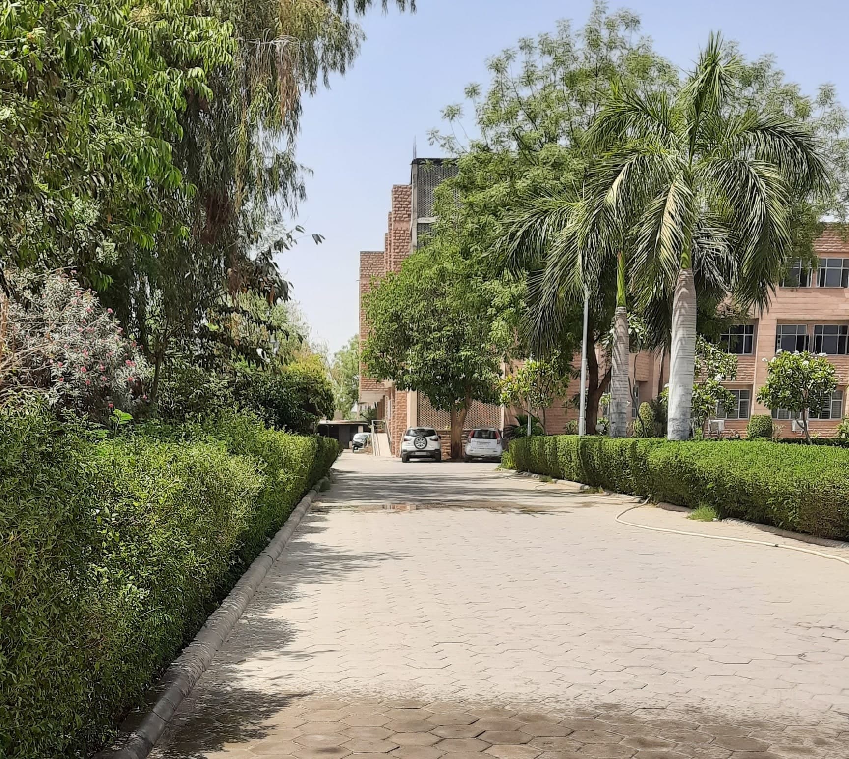 GD Women Teachers Training College-image