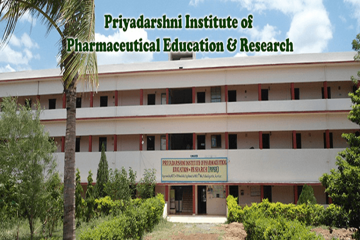 PIPER Guntur-gallery-image-4