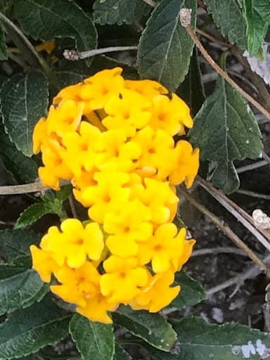 RVCE Bengaluru-gallery-image-7