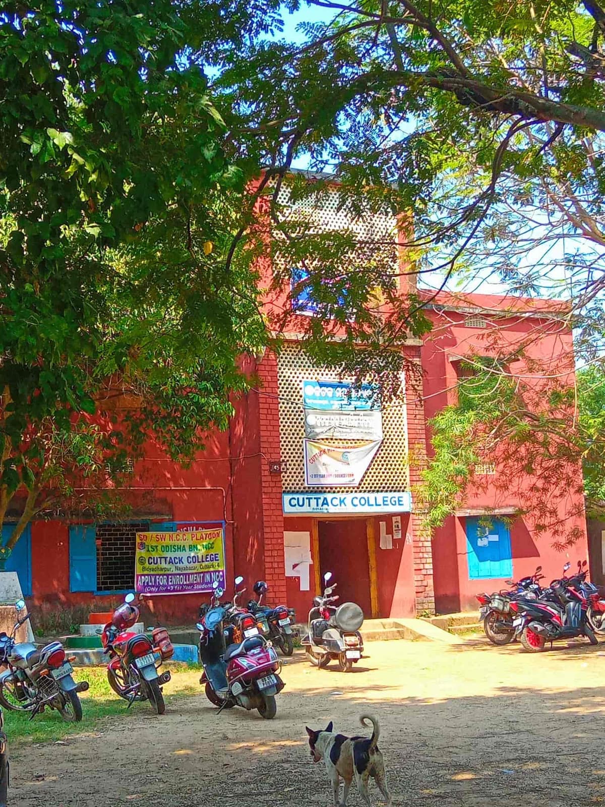 C.C. College-gallery-image-3