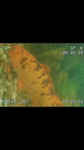 SOU Ahmedabad-gallery-image-6