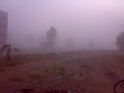 NITT-gallery-image-7