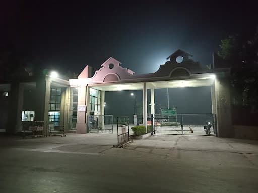 IIML-gallery-image-7