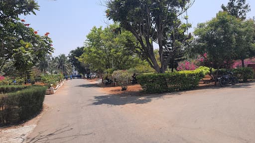 MJC for Women-gallery-image-6