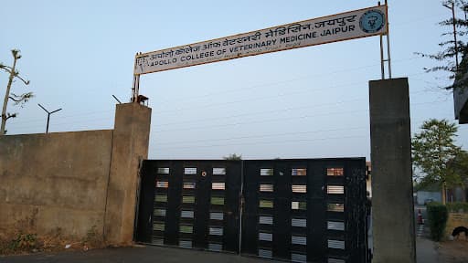 Apollo College of Veterinary Medicine-gallery-image-5
