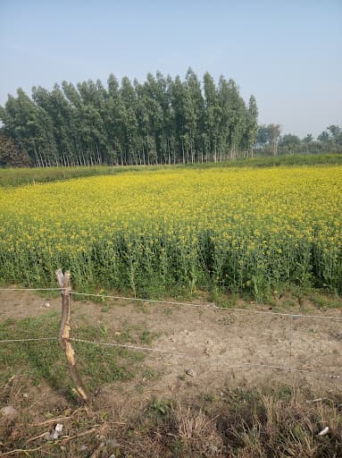 RDD Gyanodaya Mahavidyalaya-gallery-image-5