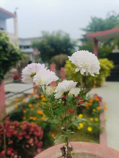 SCSVMV Pratapgarh-gallery-image-7