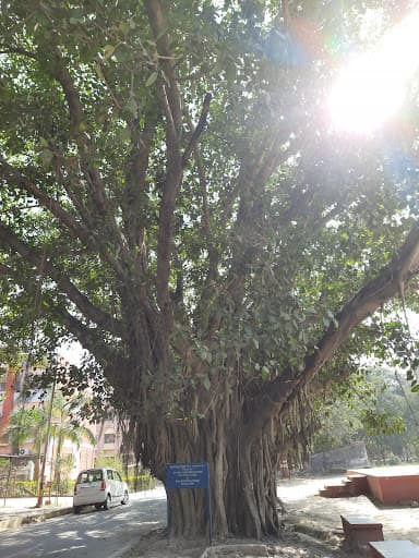 KNIPSS Sultanpur-gallery-image-5