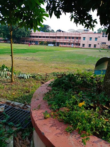 BRSNC-gallery-image-7