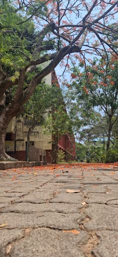 St. Xavier''s College, Thumba-gallery-image-7