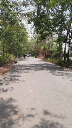 DRBCCC Hindu College-gallery-image-5