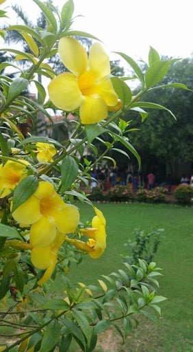 STC Chennai-gallery-image-7