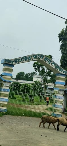 DGMC-gallery-image-7