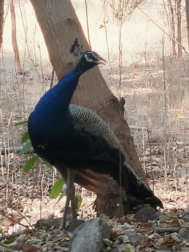 CSI JANCON-gallery-image-6