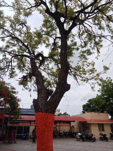 JKKM College of Occupational Therapy-gallery-image-5