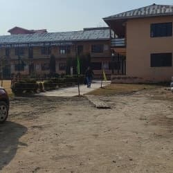 Dr Iqbal Training College of Education-image