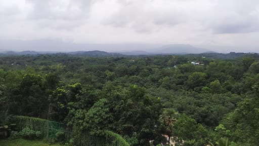 Dale View College of Pharmacy-gallery-image-7