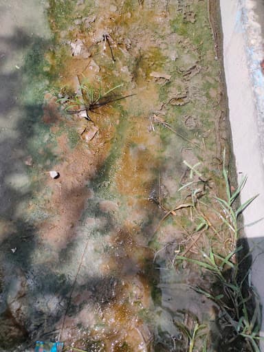 SCE Coimbatore-gallery-image-5