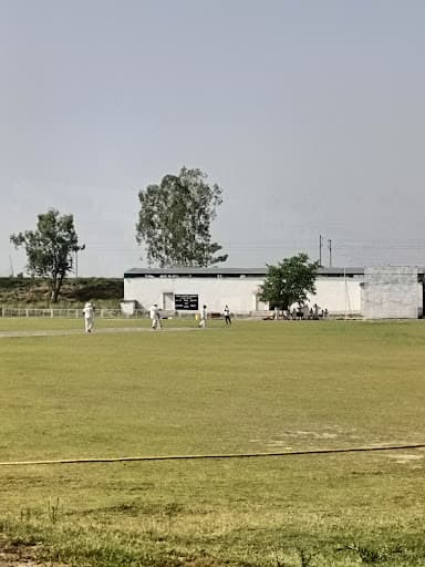 None-gallery-image-6