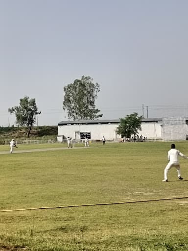 None-gallery-image-5