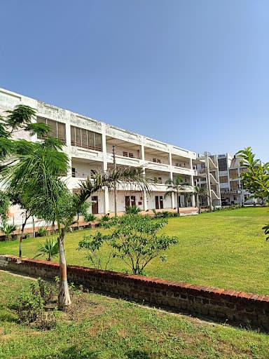 None-gallery-image-7