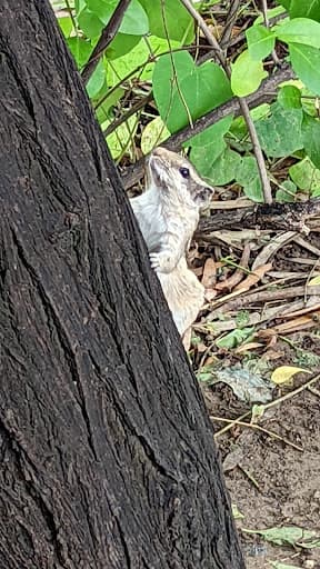 NIPER Mohali-gallery-image-6