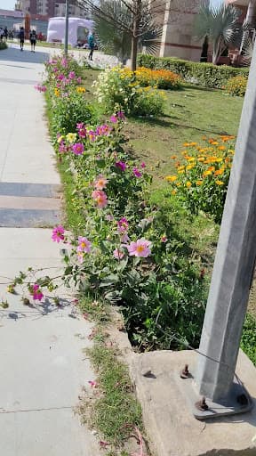 None, Gurdaspur Punjab-gallery-image-6