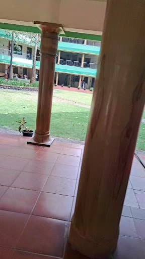 Ahalia Ayurveda Medical College-gallery-image-5